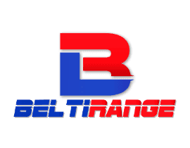 company's logo